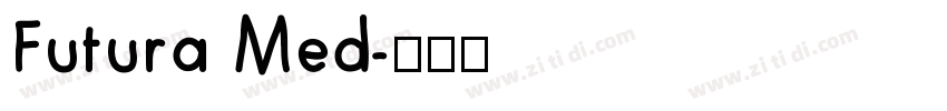 Futura Med字体转换